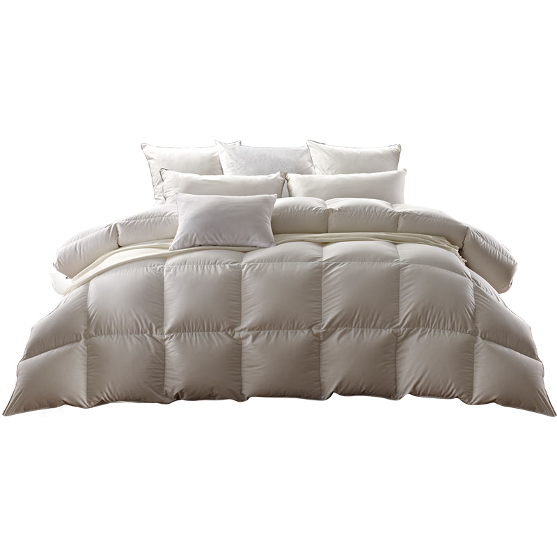 ˹ŵ���Ӻ�ߵ�100֧���н���95�׶������ޱ�о������2.0*2.3m��1300g��