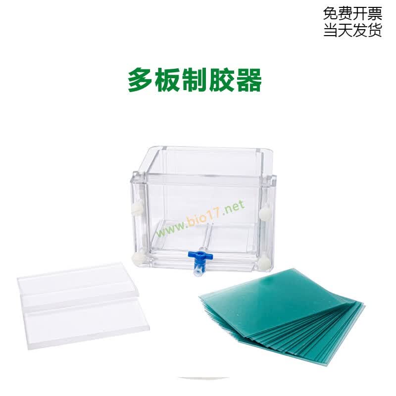锦夏梯度凝胶电泳系统  电泳梯度胶生成  六一伯乐bio-rad梯度电泳 多