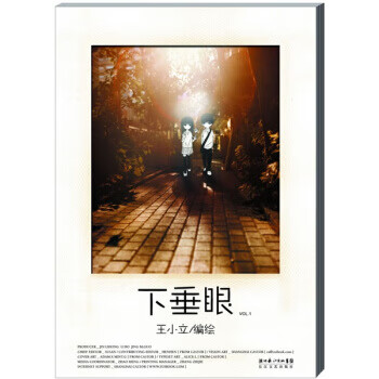 下垂眼 王小立 著【书】