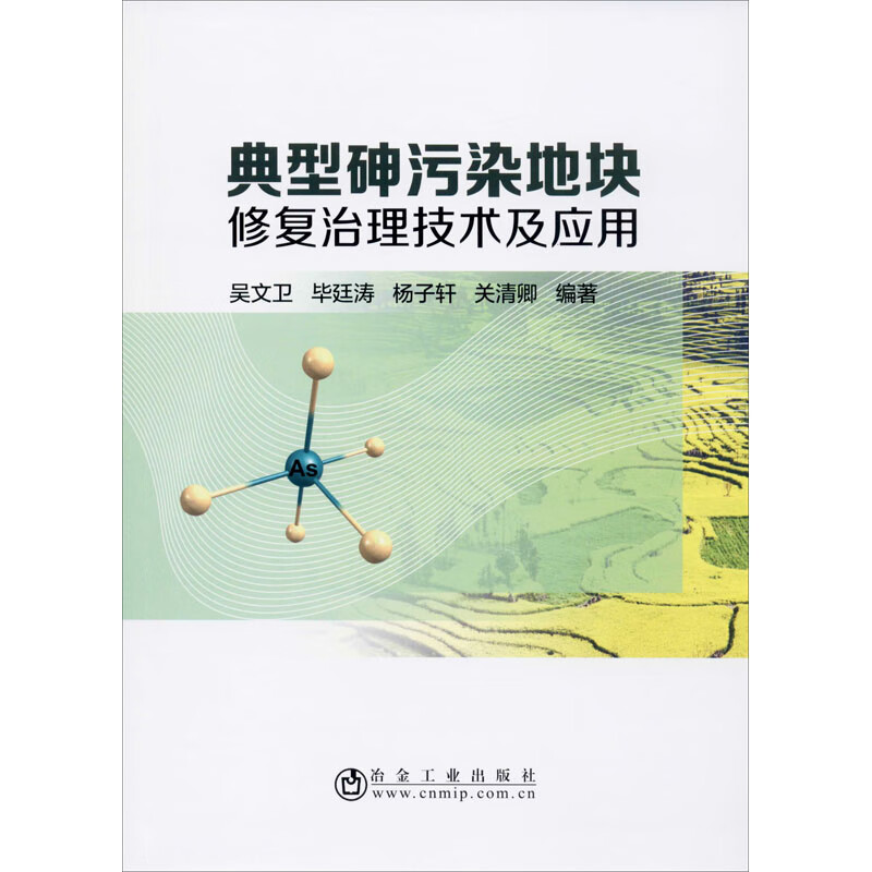 典型砷污染地块修复治理技术及应用