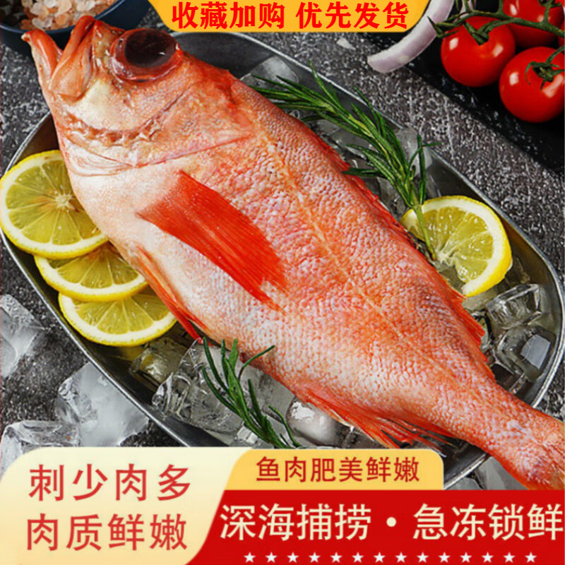 红石斑鱼整条鲜活冷冻大龙胆鱼富贵鱼深海鱼速冻鲜活海鲜水产