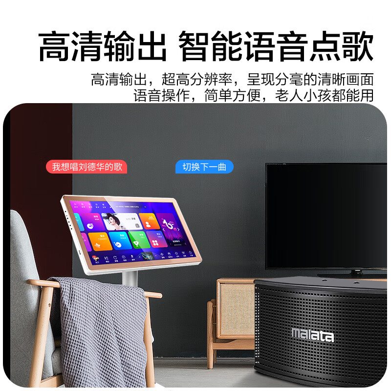万利达(Malata)家庭ktv音响套装客厅家庭影院音箱专业家用K歌唱歌设备全套卡拉ok点歌机一体机 8寸音响套装+2T点歌机