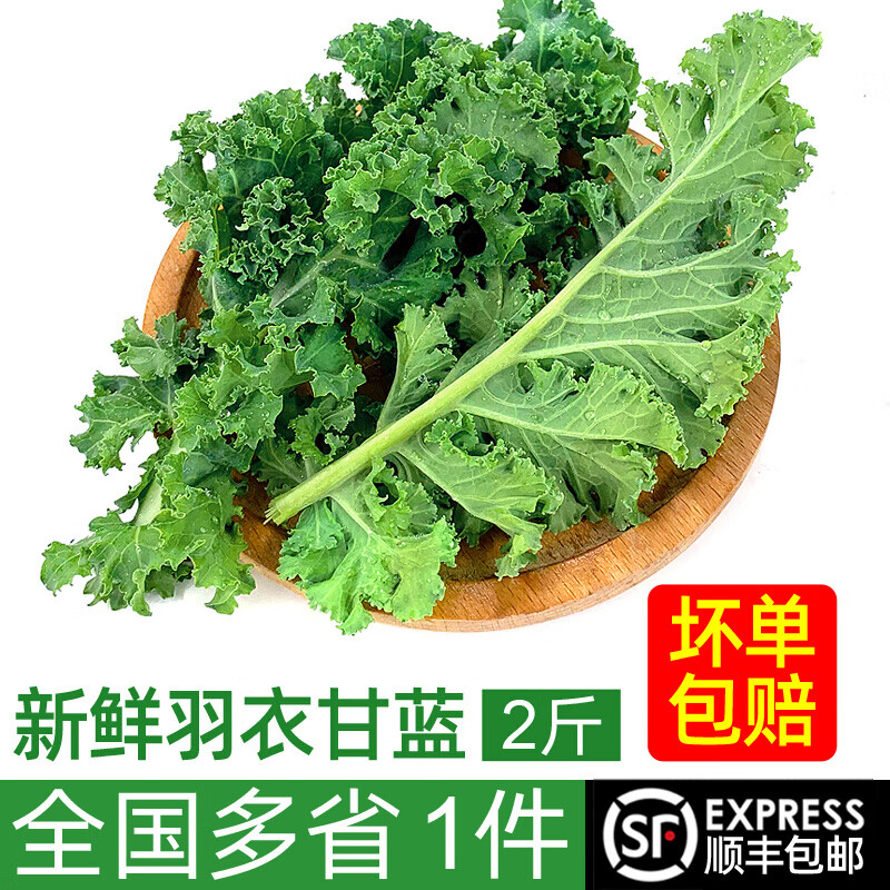 绿食者 新鲜羽衣甘蓝 绿叶甘兰芥蓝菜kale 西餐色拉沙拉菜 健康轻食蔬菜 2斤