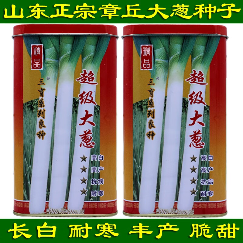 三育系列山东正宗大葱种子章丘大葱子葱种子四季蔬菜种子梧桐葱籽葱白
