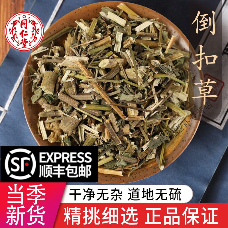 北京同仁堂中药材特级野生倒扣草 牛舌大黄 特级新货倒钩草 500克包邮