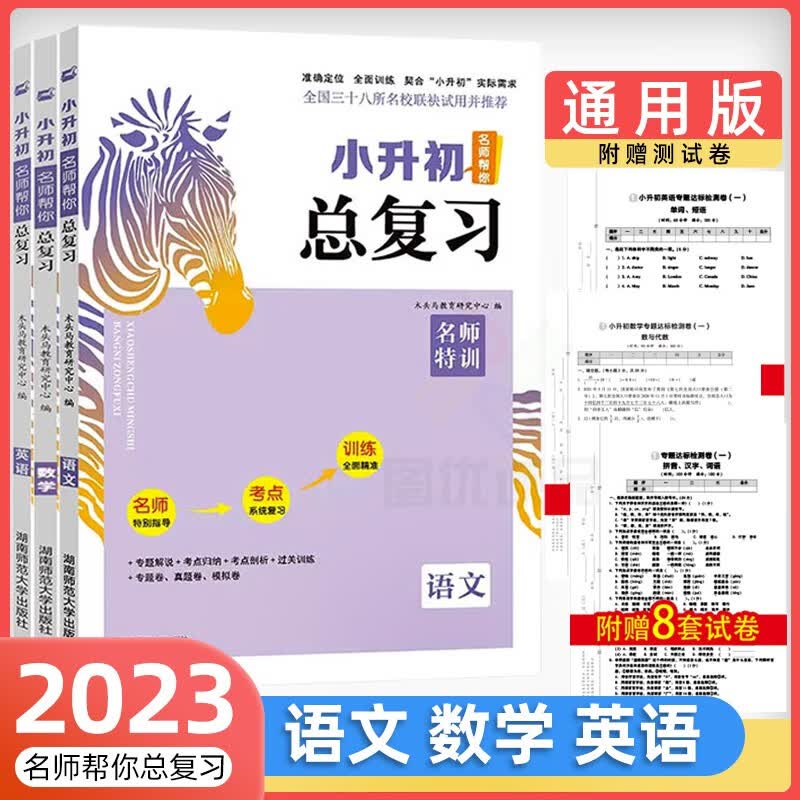 2023小升初名师帮你总复习语文数学英语56年级小学毕业总复习语文数学英语复习资料小升初总复习 【全3册】语文+数学+英语