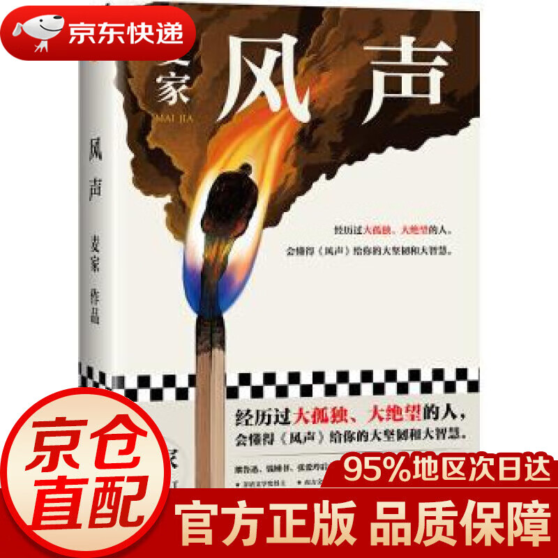 风声 麦家 著 上海文艺出版社