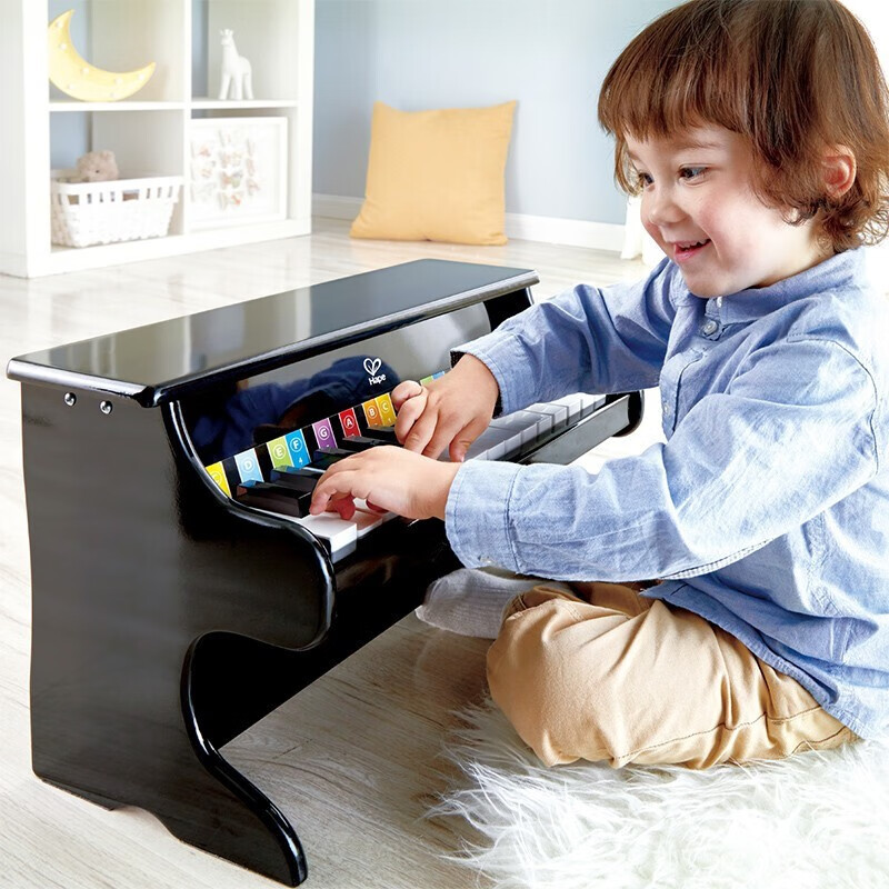Hape儿童木制机械小钢琴  3-6岁男女小孩儿童音乐玩具早教儿童节礼物 E8463 25键钢琴黑色