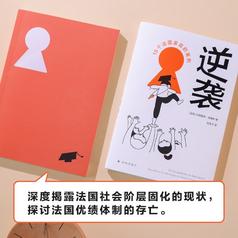 译见丛书~逆袭：16个法国家庭的案例详情图