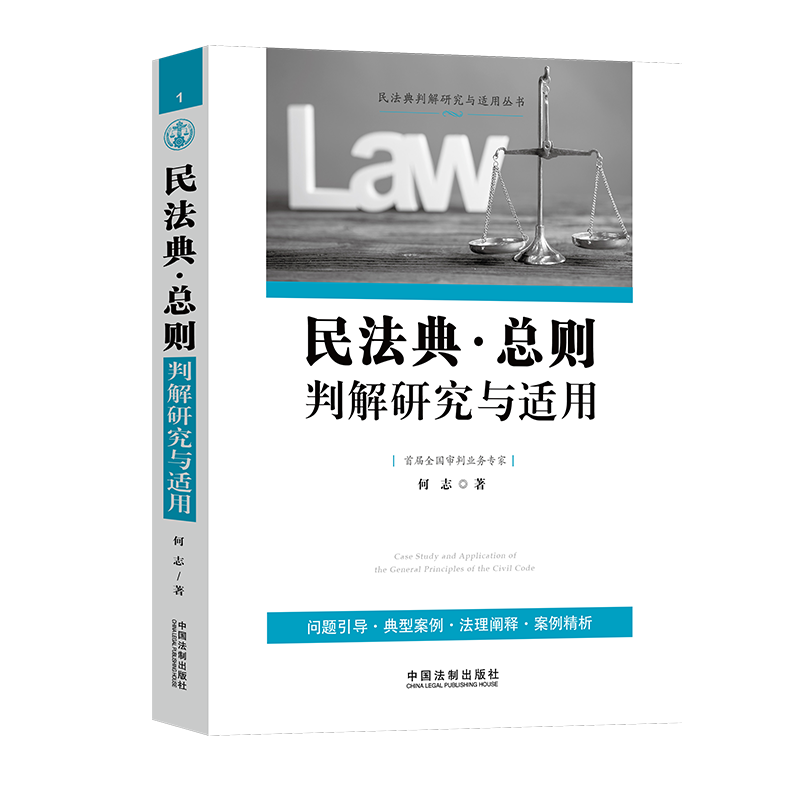民法典总则判解研究与适用 何志 法制 最高人民法院指导案例典型疑难案例分析 民法理论民事权利民事责任