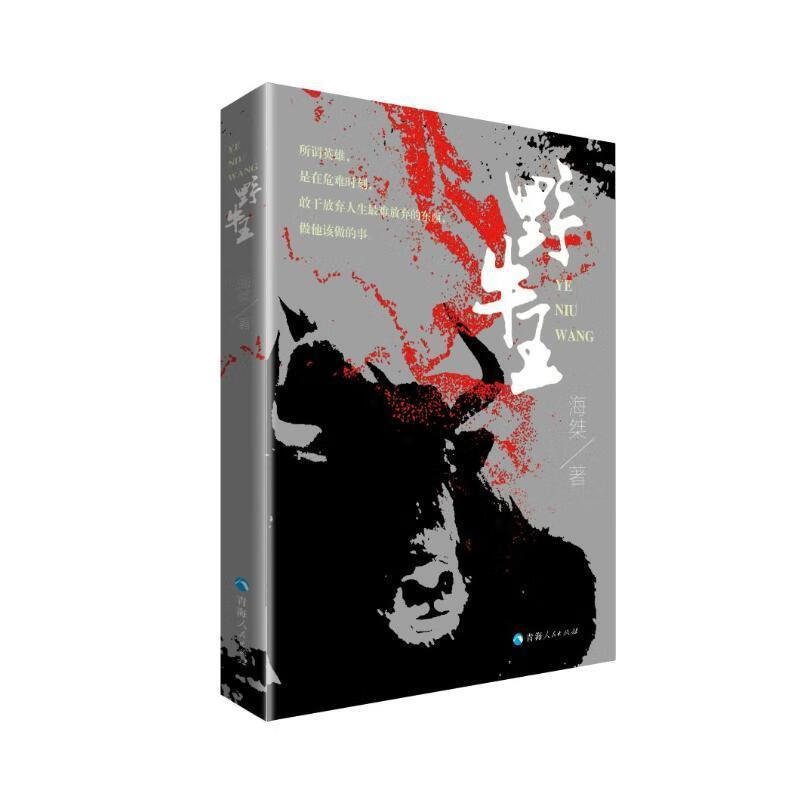 野牛王小说  图书