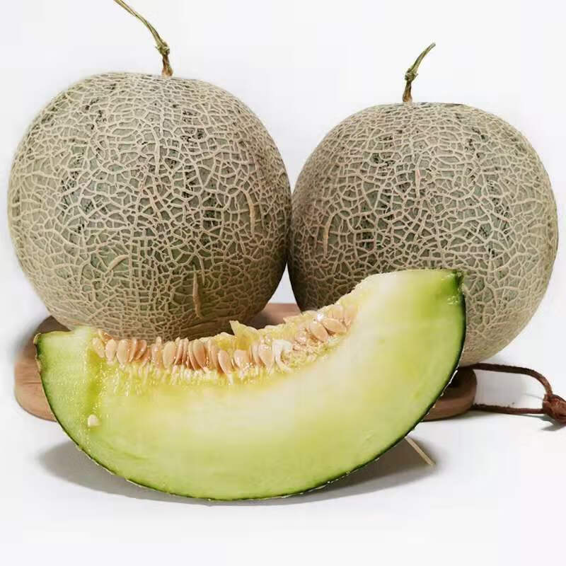 吧唧果海南玫珑蜜瓜网纹瓜新鲜当季冰激凌水果 单果1.5-2.