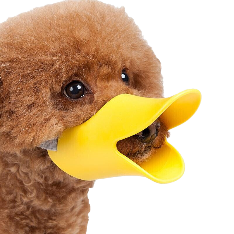 ��¶๷�����׹����ַ�ҧ�ַ�ҧ���з���ʳ����С��Ȯ̩�ϲ��� S-С�ͣ�3-8�