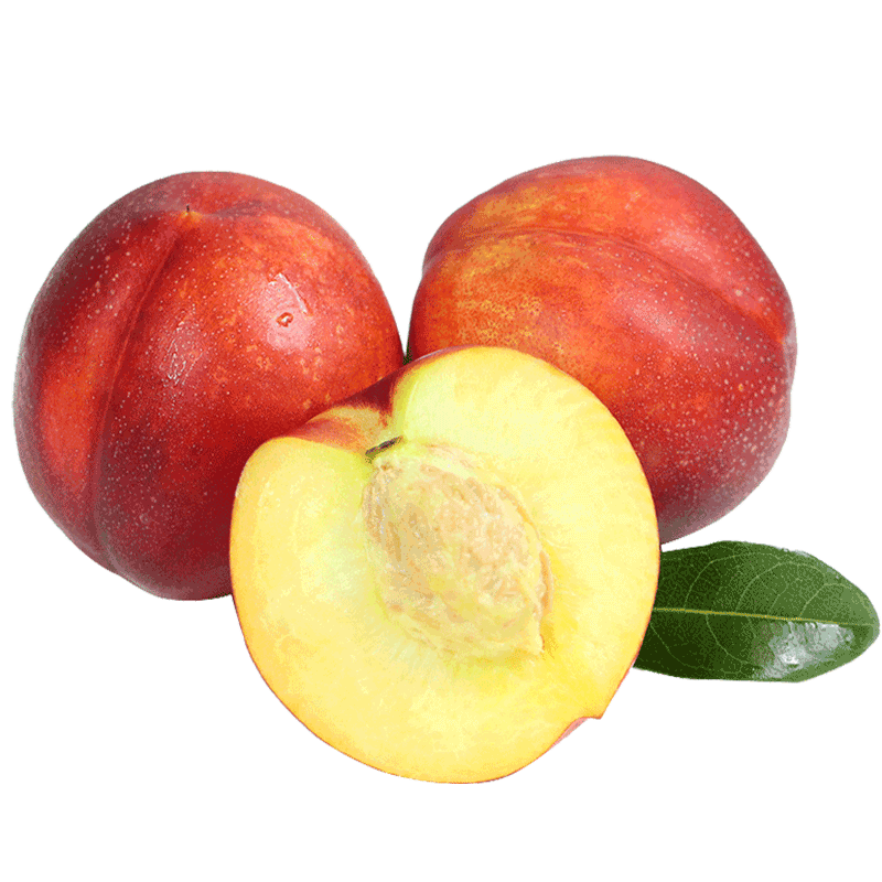 姬露鲜辽宁新鲜油桃5黄肉东北特产大连黄心桃子当季时令新鲜水果 2斤