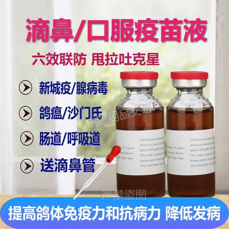 施德福信鸽赛鸽子新城疫疫苗鸽用三联饮水口服滴鼻沙门氏幼鸽育苗 氏
