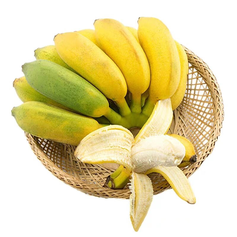 【精选S级】云南香蕉水果新鲜整箱10斤小米蕉应季水果芭蕉新鲜苹果蕉批发3斤 净重5斤( 人工优选)