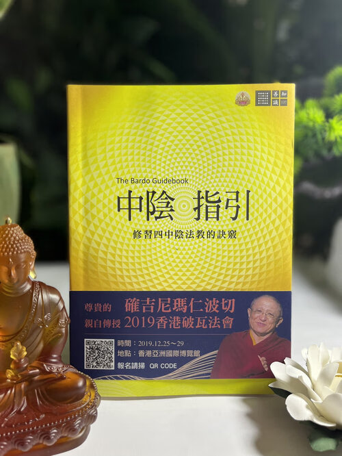 中阴指引[本害不懂是中除段的叙述，更是现世舆来生的修持指引