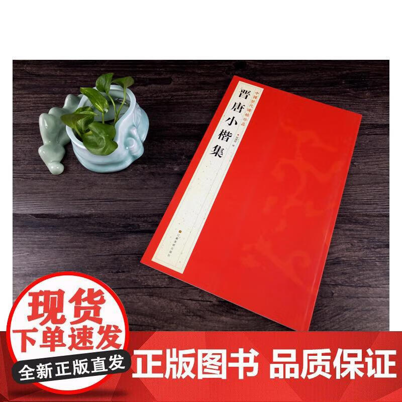 中国历代碑帖珍品（12开）：晋唐小楷集
