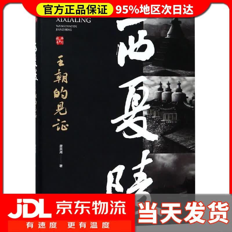 【送货上门】西夏陵：王朝的见证 唐荣尧 中国地图出版社