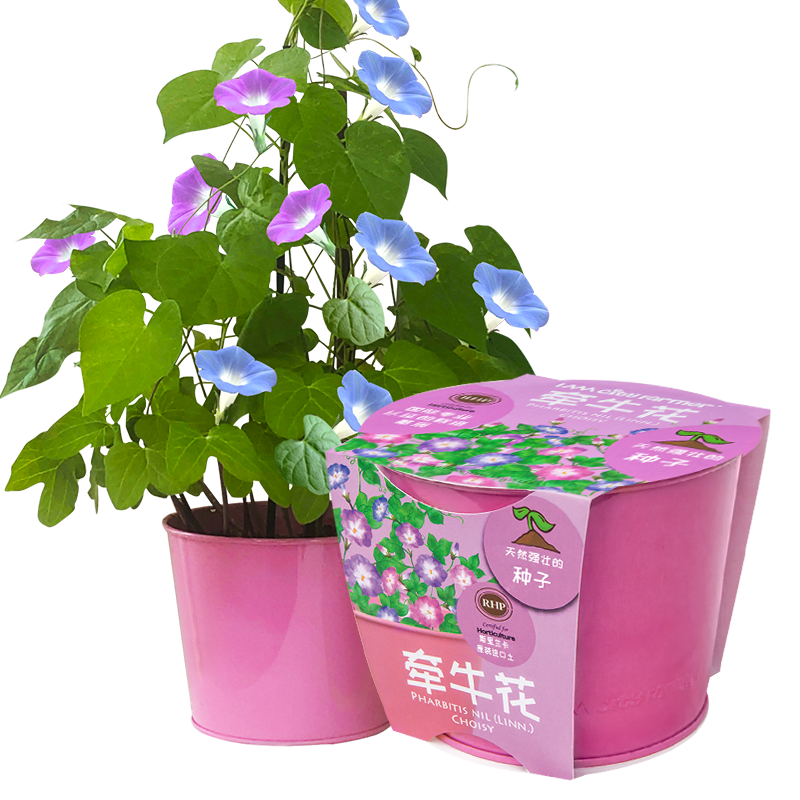 创造美好居住环境的首选之一-IAMCityFarmer绿植盆栽|看绿植盆栽价格走势的软件