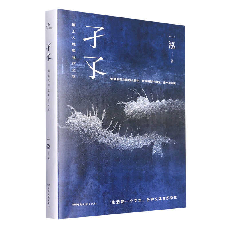 【新华书店正版】孑孓(镇上人城里生存文本)