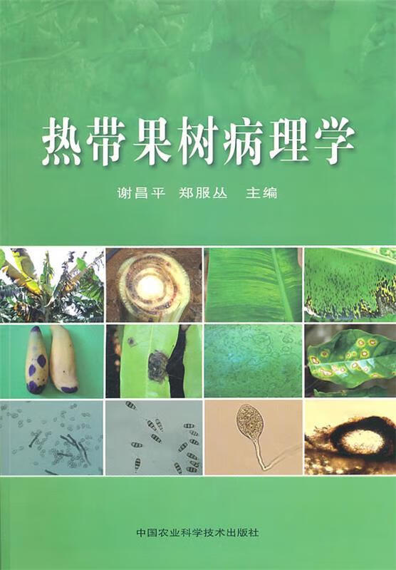 热带果树病理学 谢昌平,郑服丛主编 9787511602985正版