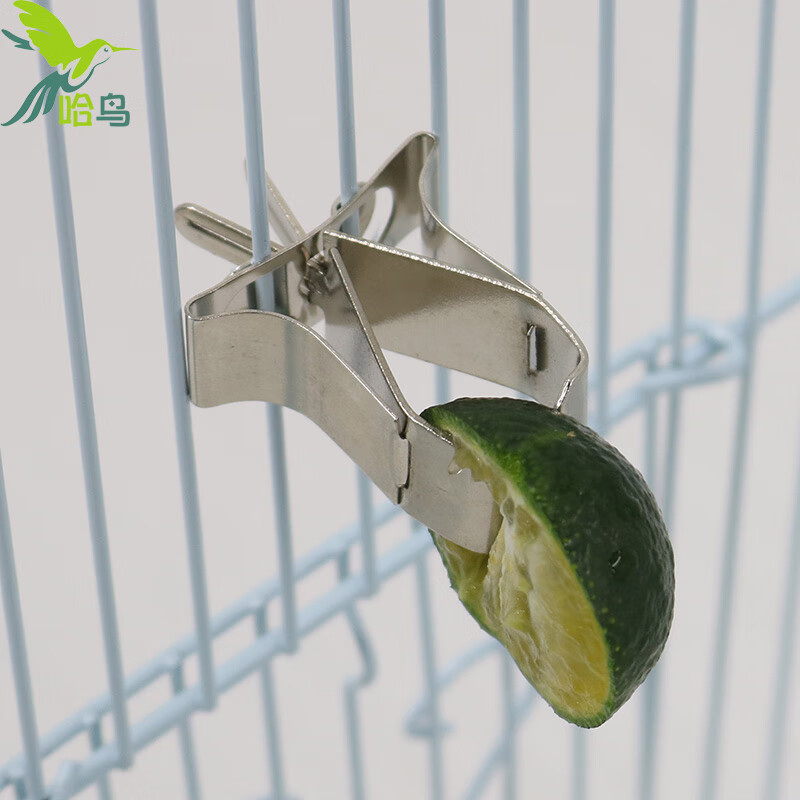哈鸟鹦鹉不锈钢水果夹鸟用水果叉鹦鹉自动喂食器喂水果蔬菜专用夹食杯
