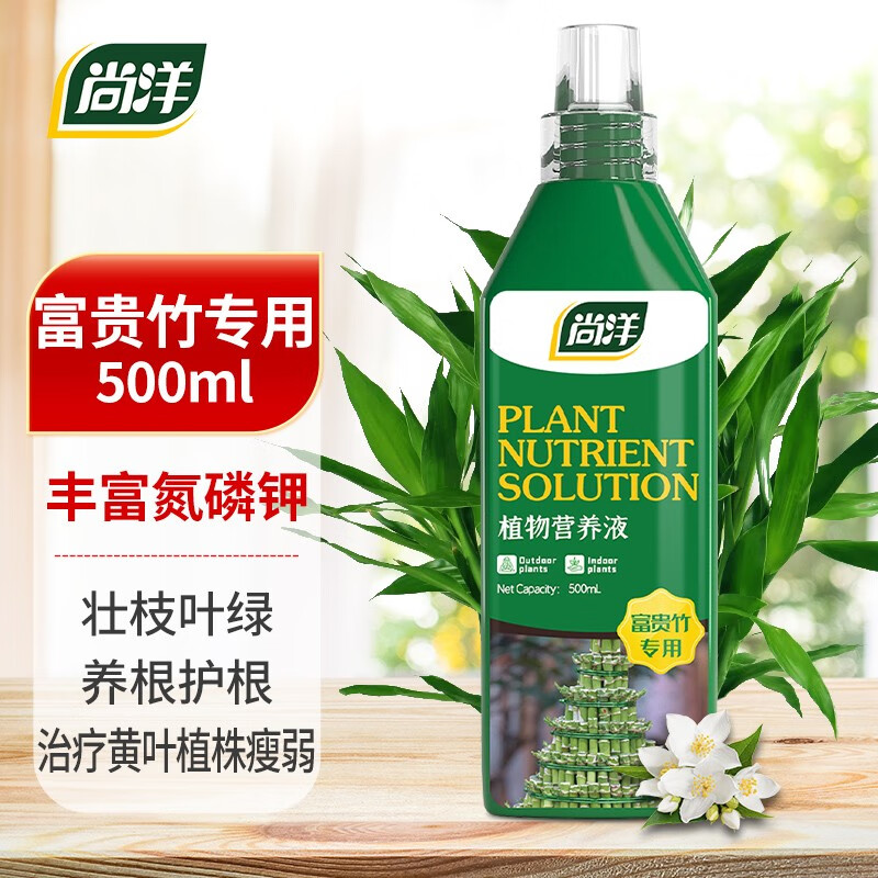 尚洋富贵竹专用营养液园艺植物盆栽花卉观音竹水培免稀释液体叶面肥料