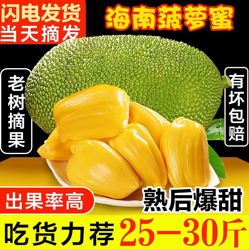 禧友鲜海南黄肉菠萝蜜整个新鲜水果干包果肉大树木蜜菠萝热带特产波罗蜜 25-30斤（很软很香才能切开）
