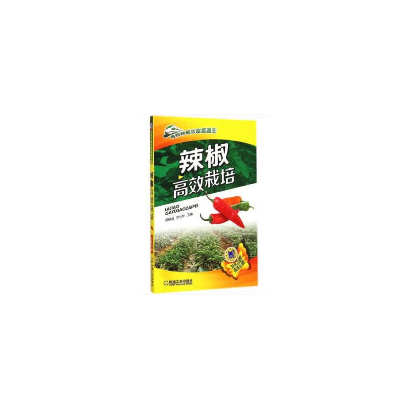 辣椒高效栽培
