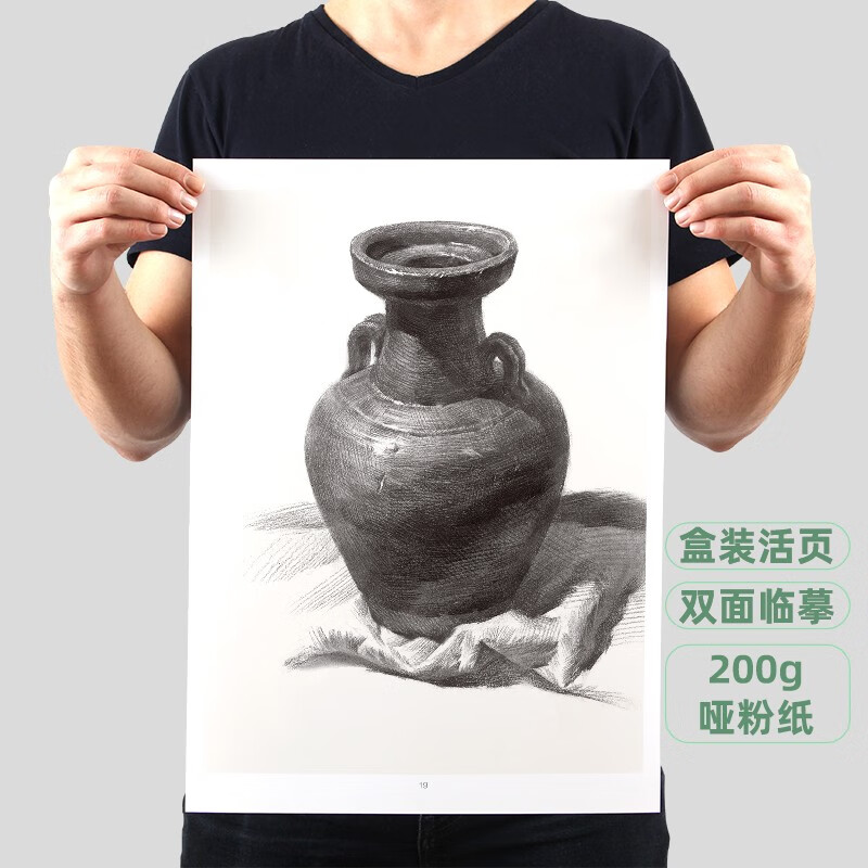 素描静物临摹书画册入门教材基础范本单体组合水果衬布写生照片书罐子
