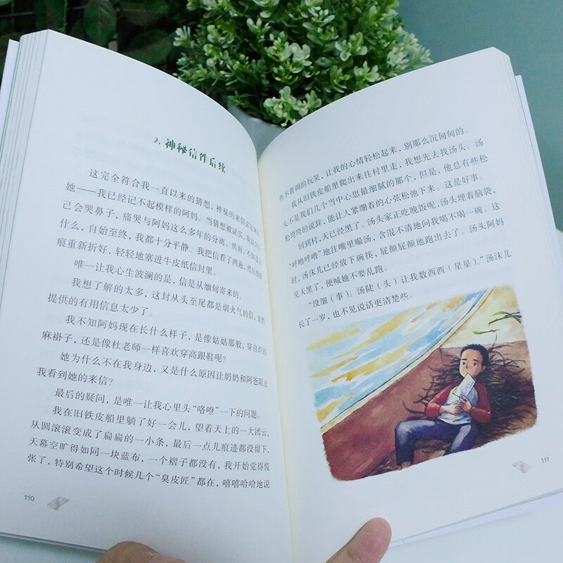 国门小学系列 全5册 佤乡等信来犀鸟与少年凤凰花下的呼唤 童眸中的彩虹童年里的木偶戏童书节儿童节 二十一世纪出版社
