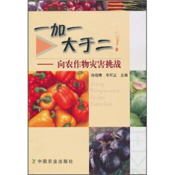 正版! 一加一大于二!