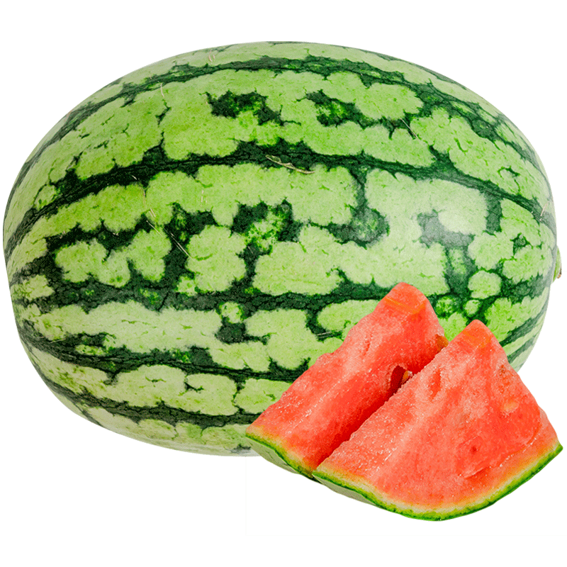 ���� ������������ 8424����� �������� 50��2�� ���� 15.55Ԫ