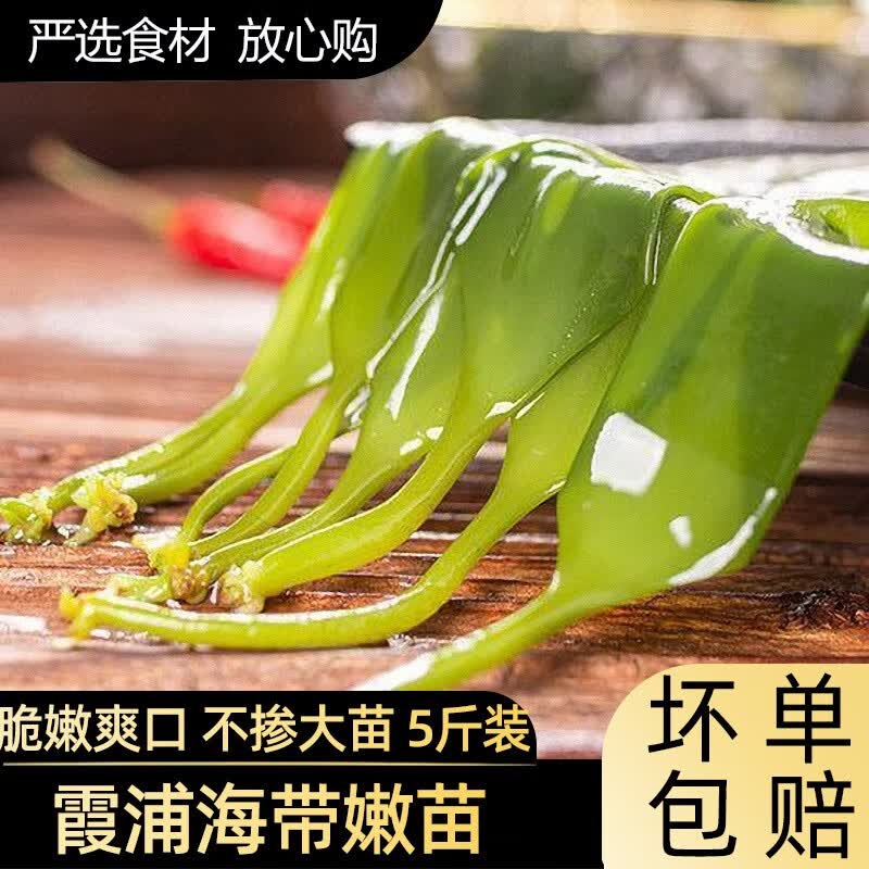 品鲜猫海带苗嫩苗霞浦特产新鲜 裙带菜500g*5袋装凉拌下酒菜盐渍海带 霞浦海带苗 3斤装（3包）高性价比高么？