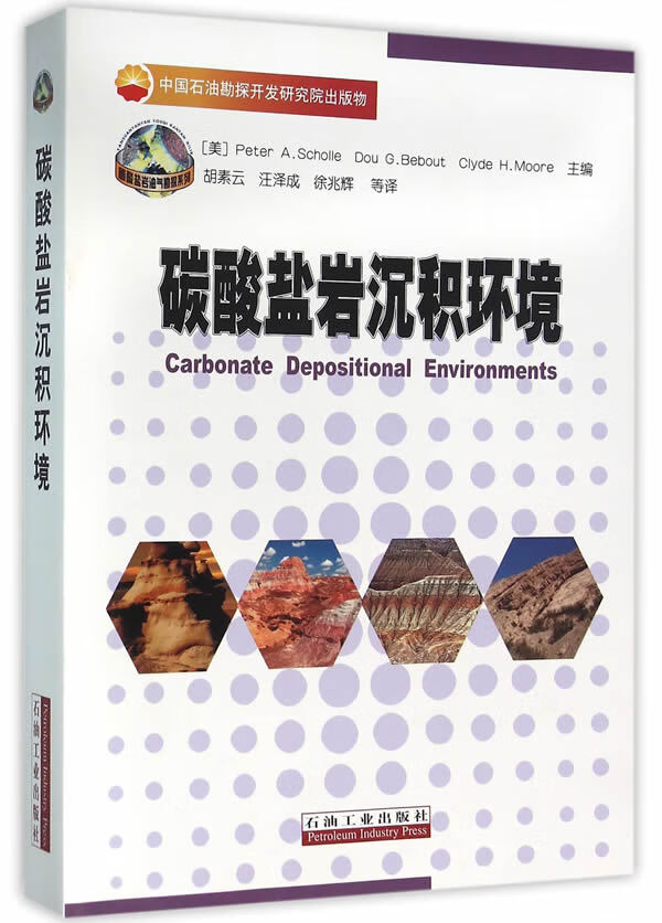 碳酸盐岩沉积环境【正版图书】