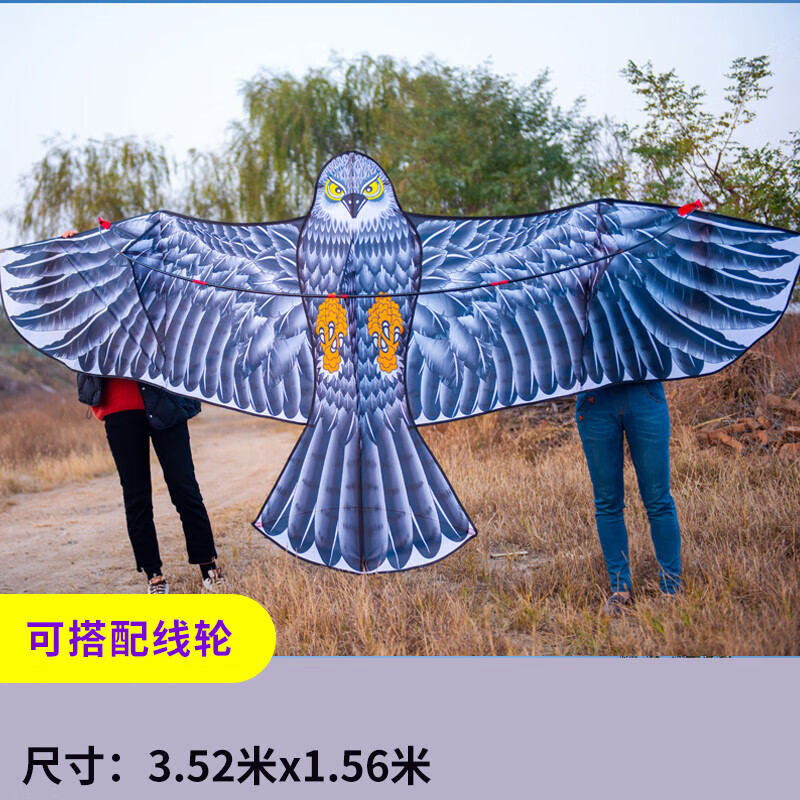 6米超大老鹰黑钢鹰风筝潍坊厂家前撑杆微风易飞新款初学 3.