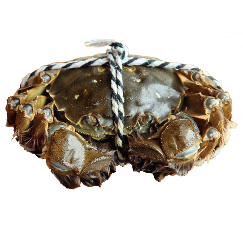 【活蟹】 万鲜卡 现货鲜活大闸蟹 生鲜螃蟹 中秋礼盒 河蟹活体实物