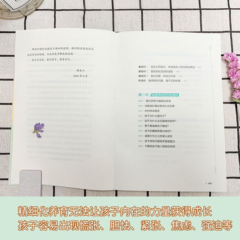 正版 爱是的良方(第2版) 看见才是爱 海夫人 父母怎么正 尺寸