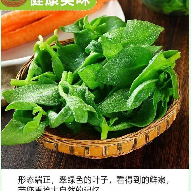 新鲜叶菜田七菜穿心莲菜青菜批发农家菜绿叶菜凉拌沙拉菜现摘 2斤