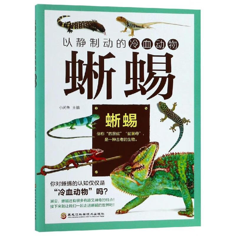 以静制动的冷血动物:蜥蜴