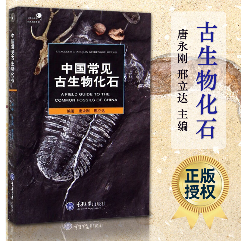 中国常见古生物化石 中国古生物化石群 如何寻找化石 化石的收藏与保管 常见化石 古生物化石群 古生物