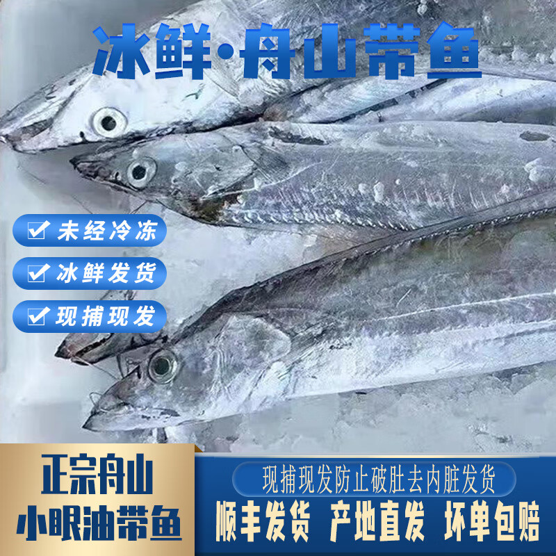 舟山带鱼  整条冰鲜带鱼 小眼油带鱼 东海带鱼新鲜冰鲜刀鱼整箱 鲜源