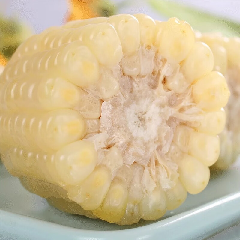 静益乐源甜香白玉米棒 玉米穗粒 新鲜蔬菜 真空包装 200g*10根