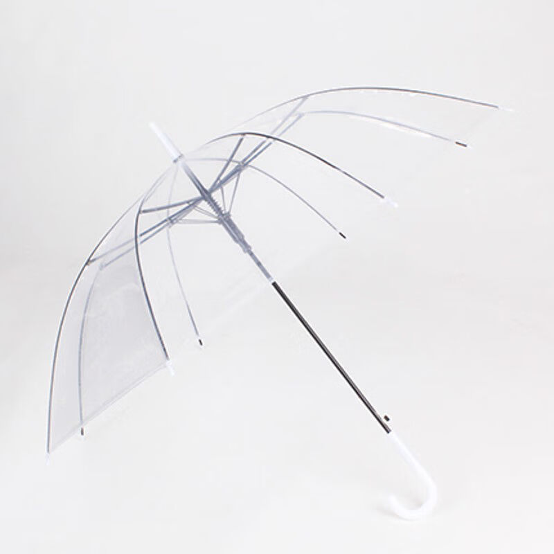 q创意半自动折叠伞男女直杆长柄透明晴雨伞学生可爱儿童韩版小清新北极象 透明白 一把伞