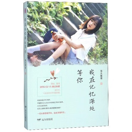 紫水晶系列:我在记忆深处等你 海风暖暖 