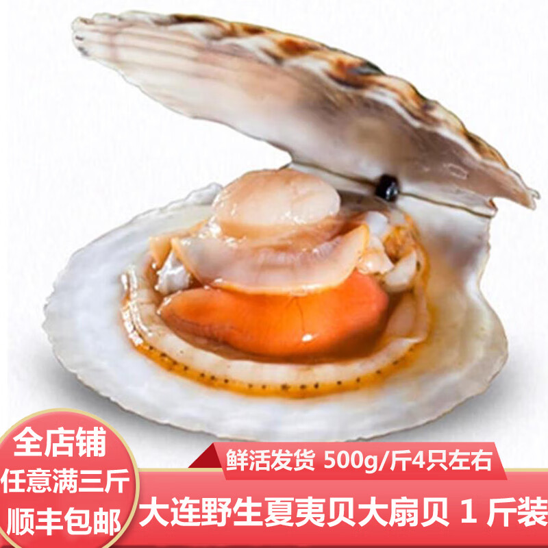 【顺丰冷链-多地隔日达】夏威夷贝扇贝大连海鲜海货鲜活大号蒜蓉夏夷