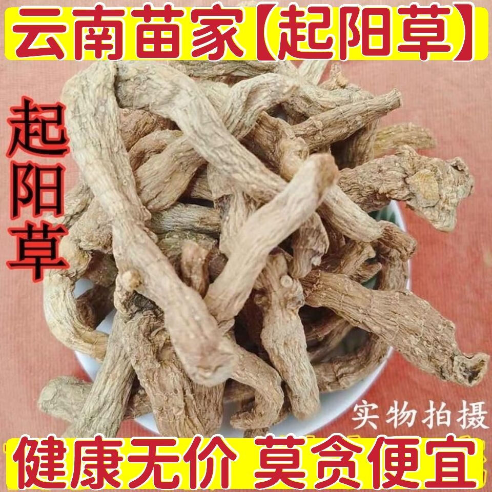 【起阳草】云南苗家特产天然无添加中草药药酒料【精选】起阳草 100