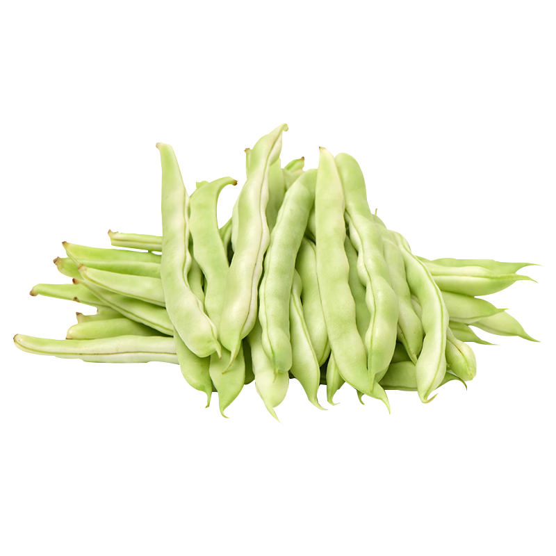 壽禾九粒白豆種子四季白不老豆角大全老品種蔬菜種籽孑秋蕓豆春秋季 雪玲瓏九粒白蕓豆種子 60g【加量款】