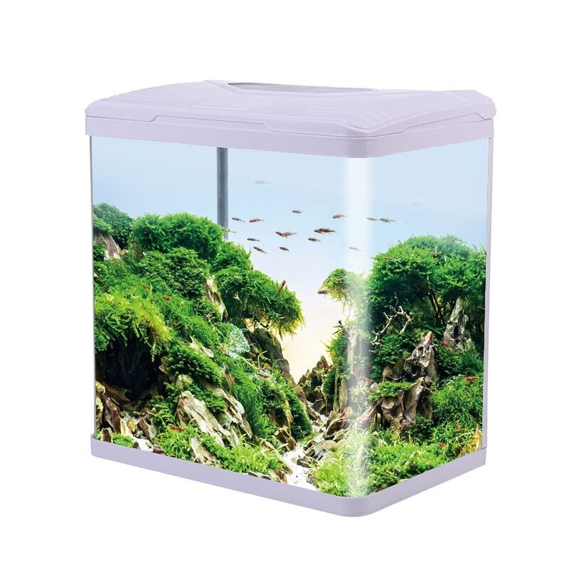 吉氏鱼缸水族箱 小型玻璃桌面鱼缸带灯过滤器封闭式生态鱼缸 CX310-白色 标配 C310-白色 标配